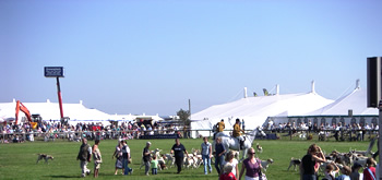 Thame and Oxfordshire County Show, September 2006.